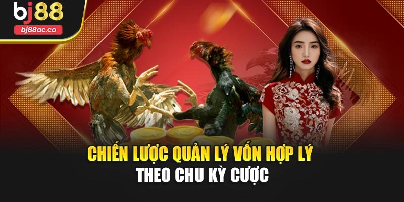 Chiến lược quản lý vốn hợp lý theo chu kỳ cược