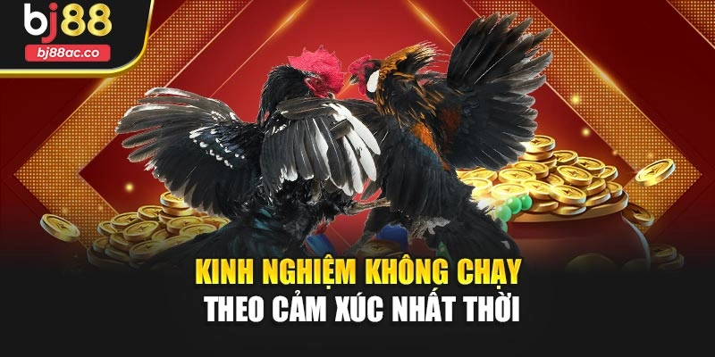 Kinh nghiệm không chạy theo cảm xúc nhất thời