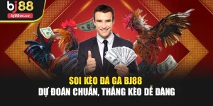 Soi Kèo Đá Gà Bj88 – Dự Đoán Chuẩn, Thắng Kèo Dễ Dàng