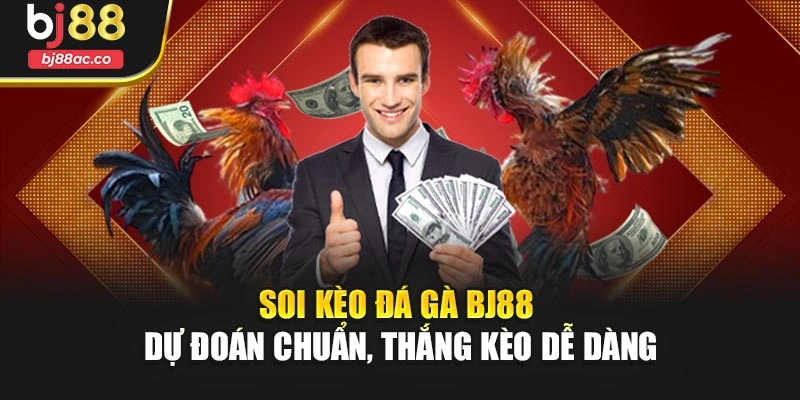 Soi Kèo Đá Gà Bj88 – Dự Đoán Chuẩn, Thắng Kèo Dễ Dàng