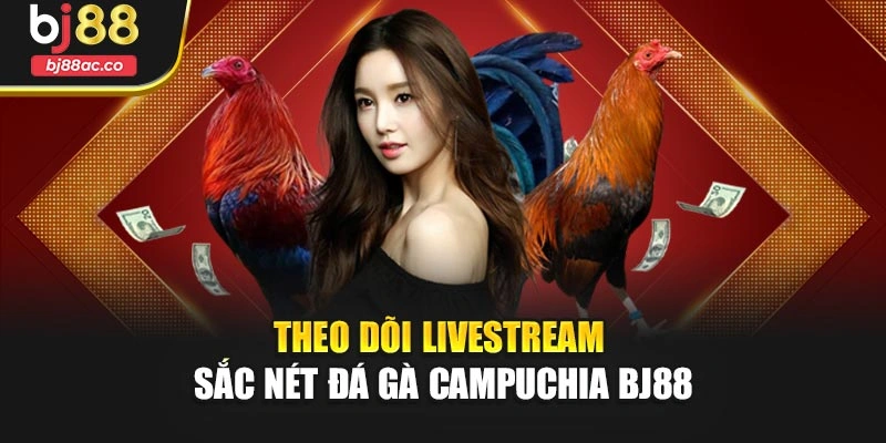 Theo dõi livestream sắc nét đá gà Campuchia Bj88