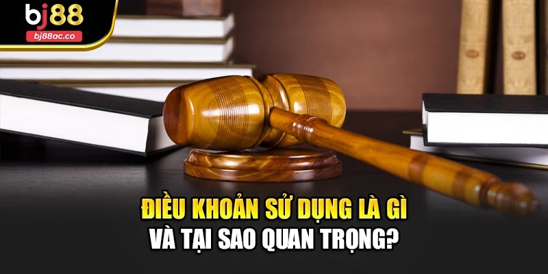 Điều khoản sử dụng là gì và tại sao quan trọng