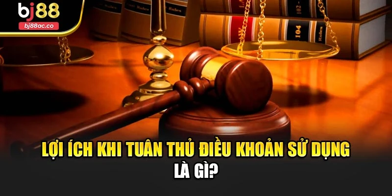 Lợi ích khi tuân thủ điều khoản sử dụng là gì